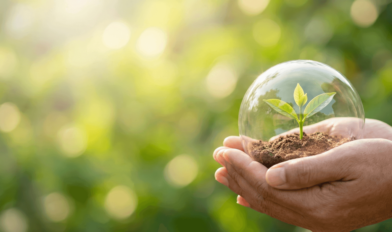 Spuma cu Celulă Închisă vs. Deschisă: Ghid Comparativ pentru Proiectul Tău